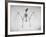 Skeletal Structure of a Bat-Andreas Feininger-Framed Photographic Print