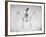 Skeletal Structure of a Bat-Andreas Feininger-Framed Photographic Print