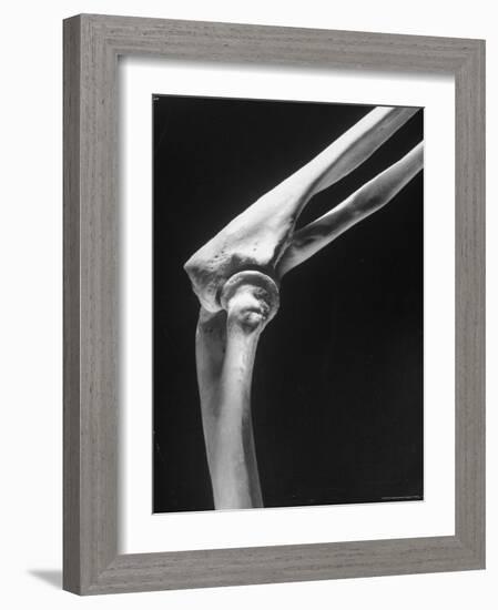 Skeletal Structures of an Elbow, Showing Joint-Andreas Feininger-Framed Photographic Print