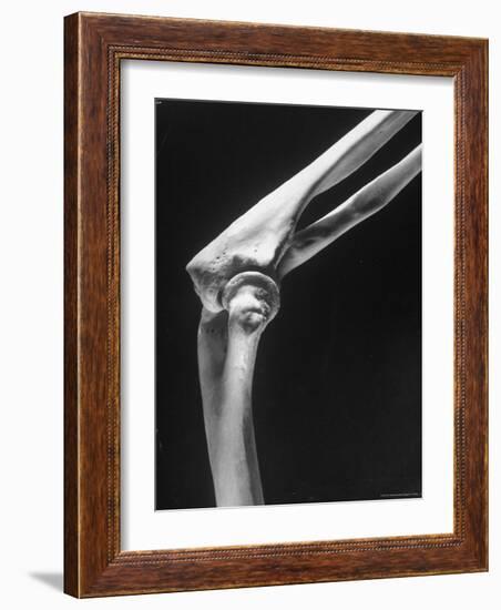 Skeletal Structures of an Elbow, Showing Joint-Andreas Feininger-Framed Photographic Print