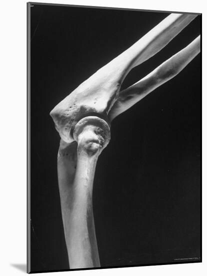 Skeletal Structures of an Elbow, Showing Joint-Andreas Feininger-Mounted Photographic Print