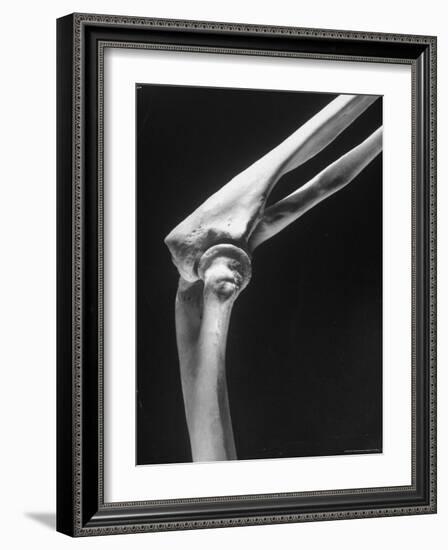 Skeletal Structures of an Elbow, Showing Joint-Andreas Feininger-Framed Photographic Print