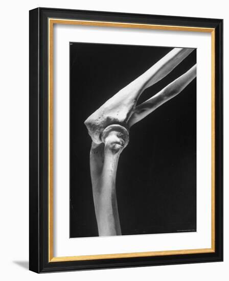 Skeletal Structures of an Elbow, Showing Joint-Andreas Feininger-Framed Photographic Print