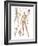 Skeletal System-null-Framed Art Print