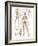 Skeletal System-null-Framed Art Print