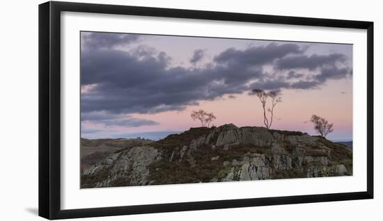 Skeletal trees atop crags at twilight at Holme Fell, Lake District National Park, Cumbria, England,-Jon Gibbs-Framed Photographic Print