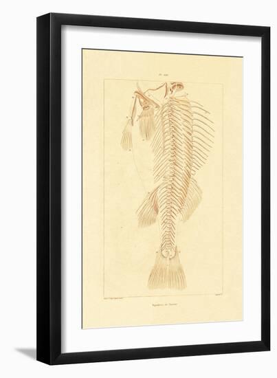 Skeleton, 1833-39-null-Framed Giclee Print