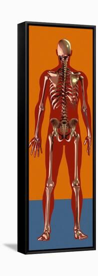 Skeleton, Artwork-Mehau Kulyk-Framed Premier Image Canvas