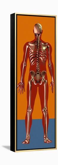 Skeleton, Artwork-Mehau Kulyk-Framed Premier Image Canvas