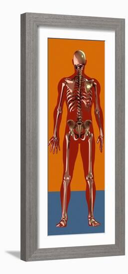 Skeleton, Artwork-Mehau Kulyk-Framed Photographic Print