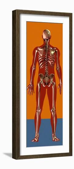 Skeleton, Artwork-Mehau Kulyk-Framed Photographic Print