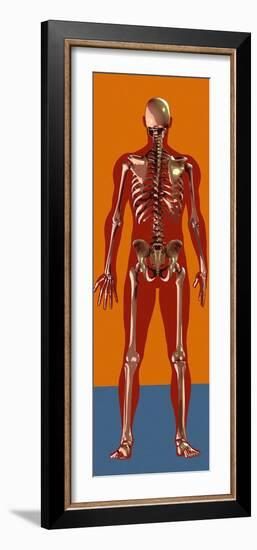 Skeleton, Artwork-Mehau Kulyk-Framed Photographic Print