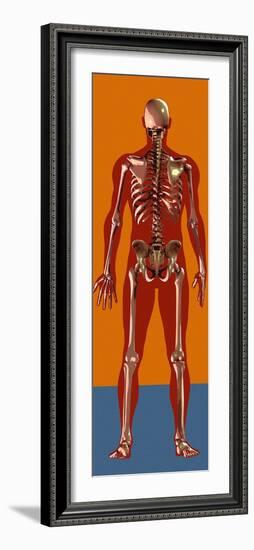 Skeleton, Artwork-Mehau Kulyk-Framed Photographic Print