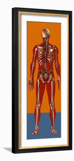 Skeleton, Artwork-Mehau Kulyk-Framed Photographic Print