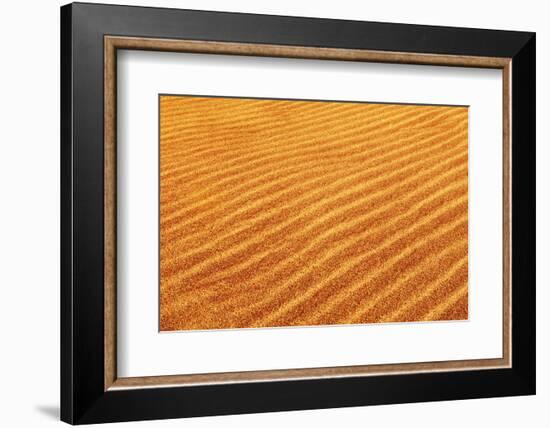 Skeleton Coast, Namibia. Close Up of Sand Dune Ripples-Janet Muir-Framed Photographic Print