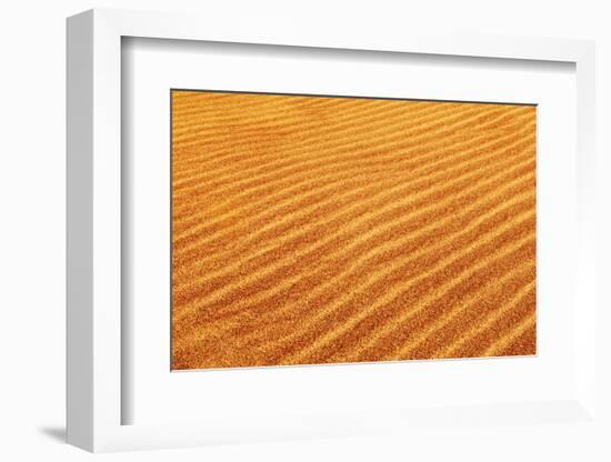 Skeleton Coast, Namibia. Close Up of Sand Dune Ripples-Janet Muir-Framed Photographic Print