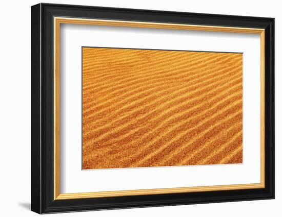 Skeleton Coast, Namibia. Close Up of Sand Dune Ripples-Janet Muir-Framed Photographic Print