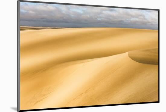 Skeleton Coast, Namibia. Sand Dunes. Digitally Altered-Janet Muir-Mounted Photographic Print