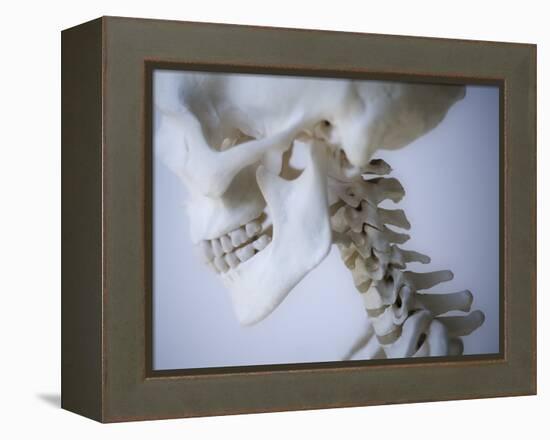 Skeleton head-Robert Llewellyn-Framed Premier Image Canvas