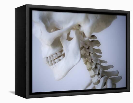 Skeleton head-Robert Llewellyn-Framed Premier Image Canvas