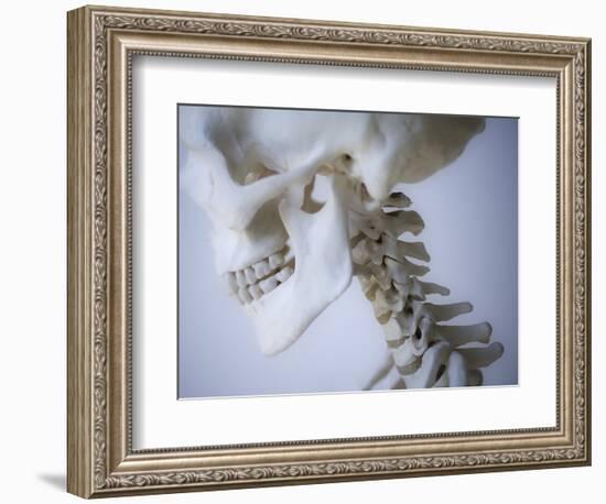 Skeleton head-Robert Llewellyn-Framed Photographic Print