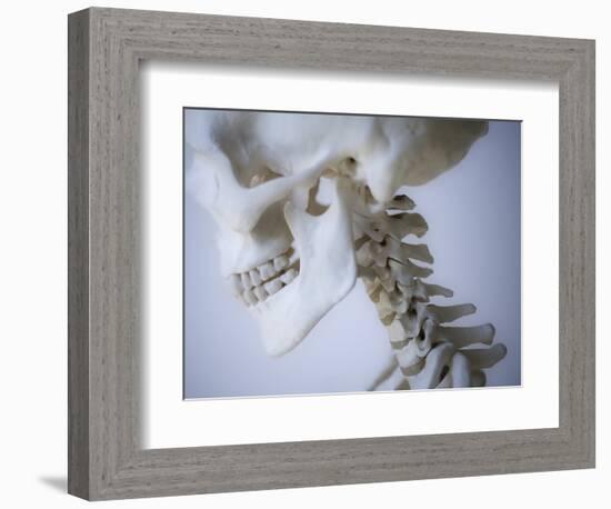 Skeleton head-Robert Llewellyn-Framed Photographic Print