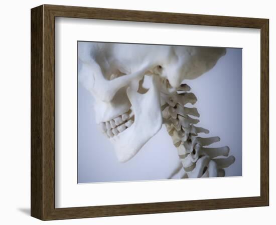 Skeleton head-Robert Llewellyn-Framed Photographic Print