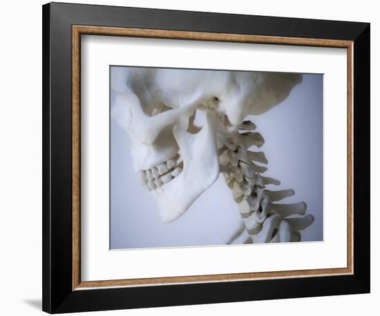 Skeleton head-Robert Llewellyn-Framed Photographic Print