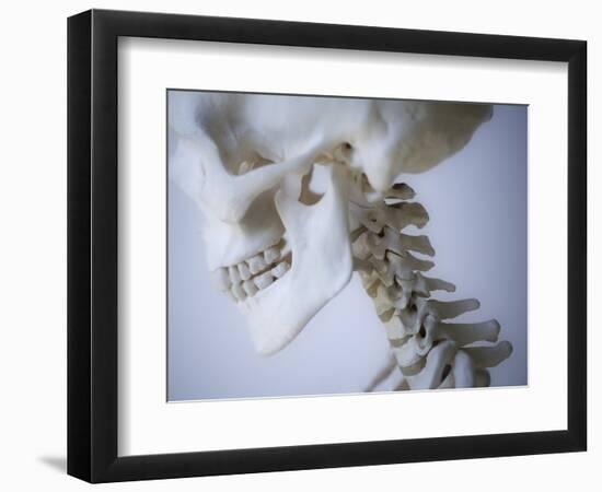 Skeleton head-Robert Llewellyn-Framed Photographic Print