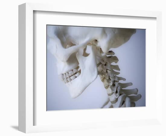 Skeleton head-Robert Llewellyn-Framed Photographic Print