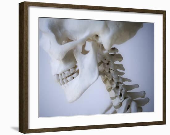 Skeleton head-Robert Llewellyn-Framed Photographic Print