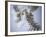 Skeleton head-Robert Llewellyn-Framed Photographic Print