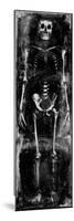 Skeleton I-Martin Wagner-Mounted Giclee Print