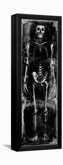 Skeleton I-Martin Wagner-Framed Stretched Canvas