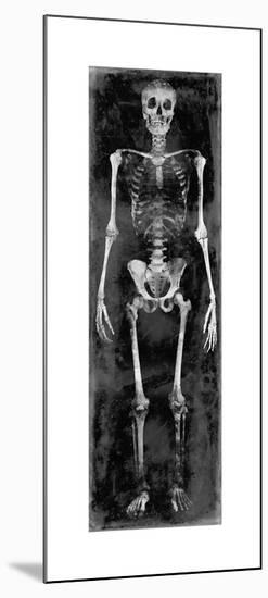 Skeleton II-Martin Wagner-Mounted Giclee Print