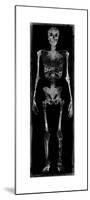 Skeleton III-Martin Wagner-Mounted Giclee Print