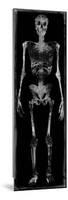 Skeleton III-Martin Wagner-Mounted Giclee Print