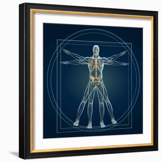 Skeleton In Vitruvian-Orla-Framed Art Print