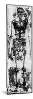 Skeleton IV-Martin Wagner-Mounted Giclee Print