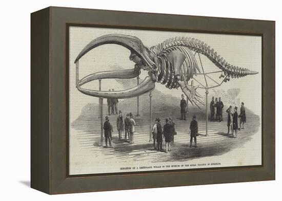 Skeleton of a Greenland Whale in the Museum of the Royal College of Surgeons-null-Framed Premier Image Canvas