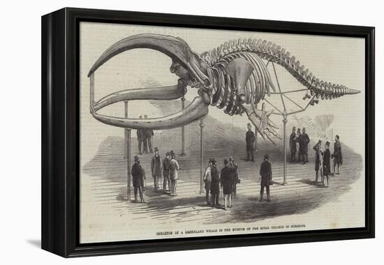 Skeleton of a Greenland Whale in the Museum of the Royal College of Surgeons-null-Framed Premier Image Canvas
