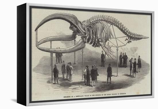 Skeleton of a Greenland Whale in the Museum of the Royal College of Surgeons-null-Framed Premier Image Canvas