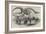 Skeleton of a Greenland Whale in the Museum of the Royal College of Surgeons-null-Framed Giclee Print