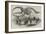 Skeleton of a Greenland Whale in the Museum of the Royal College of Surgeons-null-Framed Giclee Print