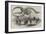 Skeleton of a Greenland Whale in the Museum of the Royal College of Surgeons-null-Framed Giclee Print