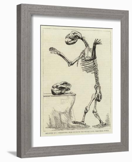 Skeleton of a Prehistoric Bear Found in the Peggau Cave, Near Graz, Styria-null-Framed Giclee Print