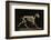 Skeleton of a Running Horse-null-Framed Photographic Print