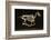 Skeleton of a Running Horse-null-Framed Photographic Print