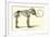Skeleton of Mammoth, Elephas Primigenius-null-Framed Giclee Print