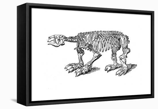 Skeleton of Megatherium, Extinct Giant Ground Sloth, 1833-Jackson-Framed Premier Image Canvas